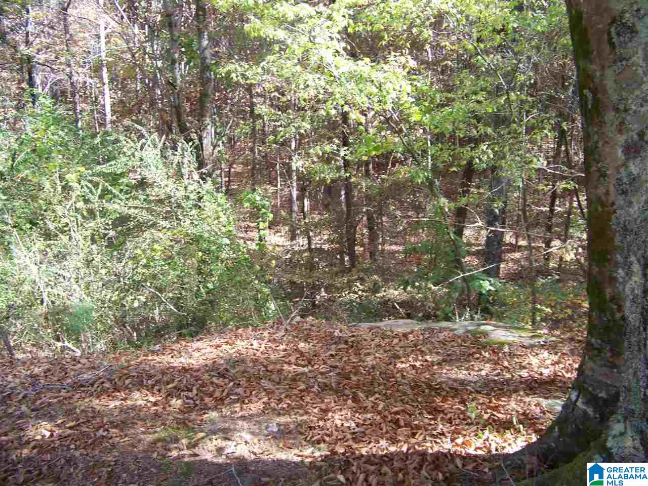 330 Joiner Road Hayden, AL 35079 - Photo 17 of 18