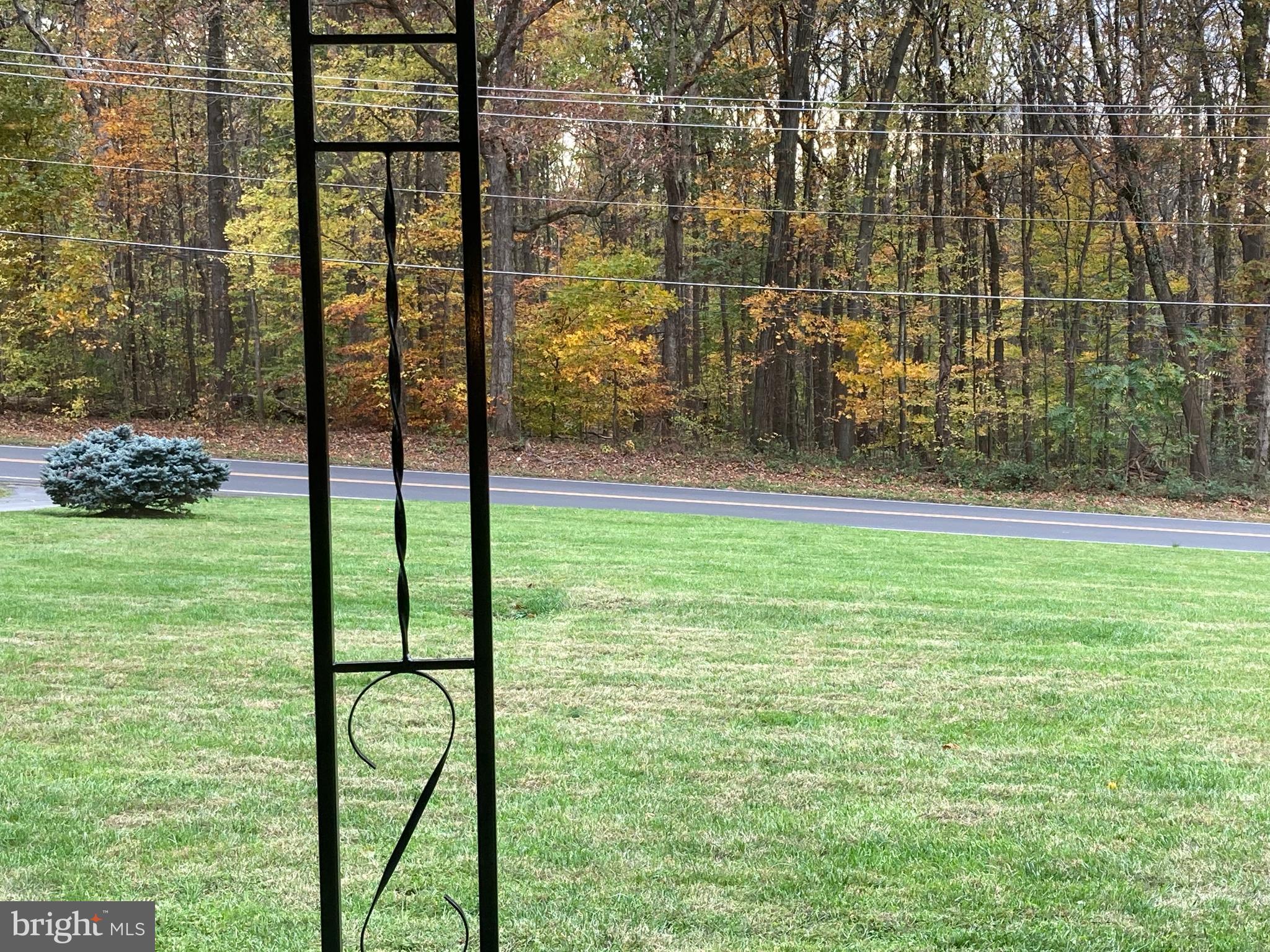 View from front window of home