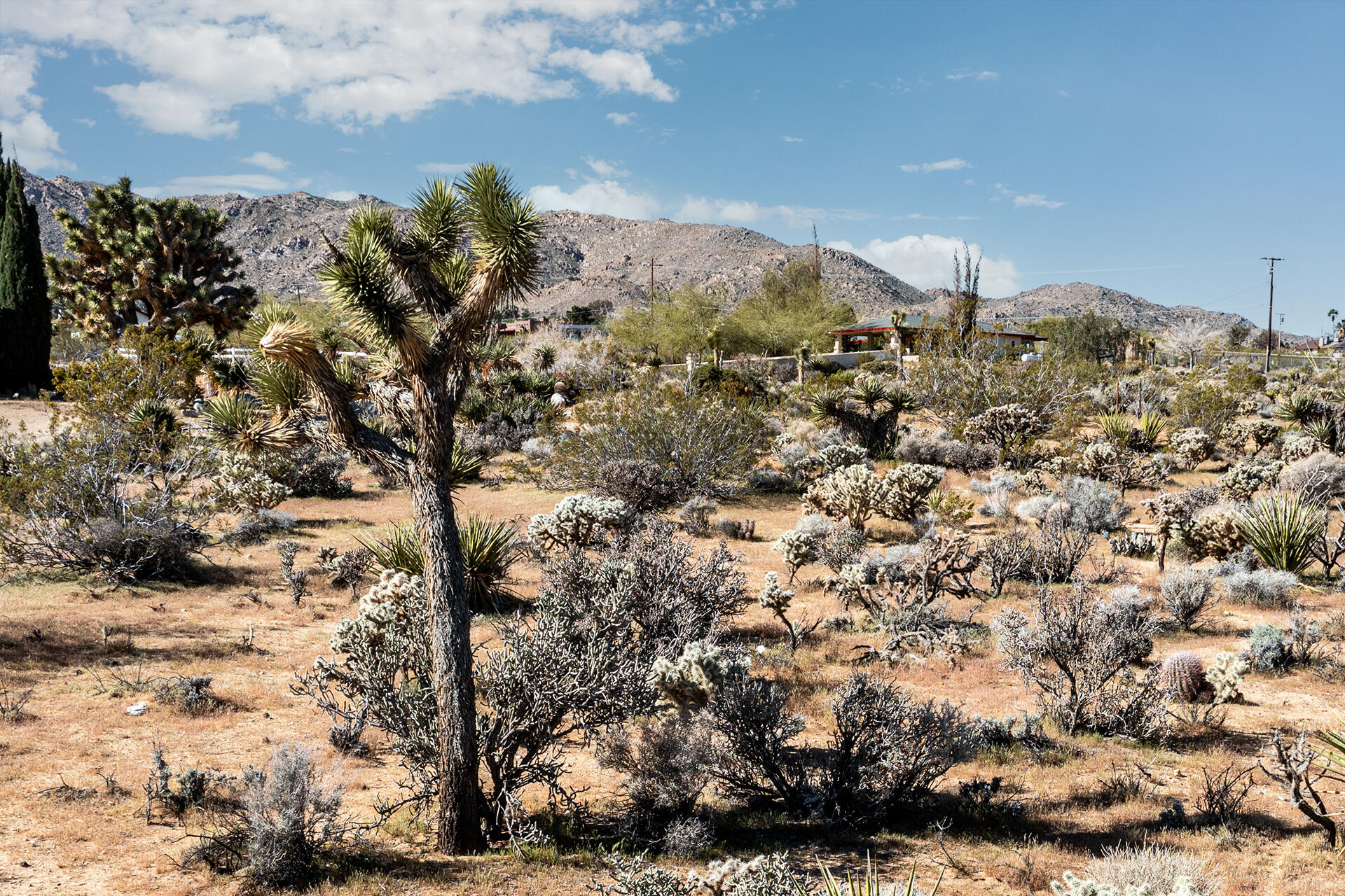 102 Saddleback Road Joshua Tree, CA 92252 - Photo 16 of 18 DJI_0046