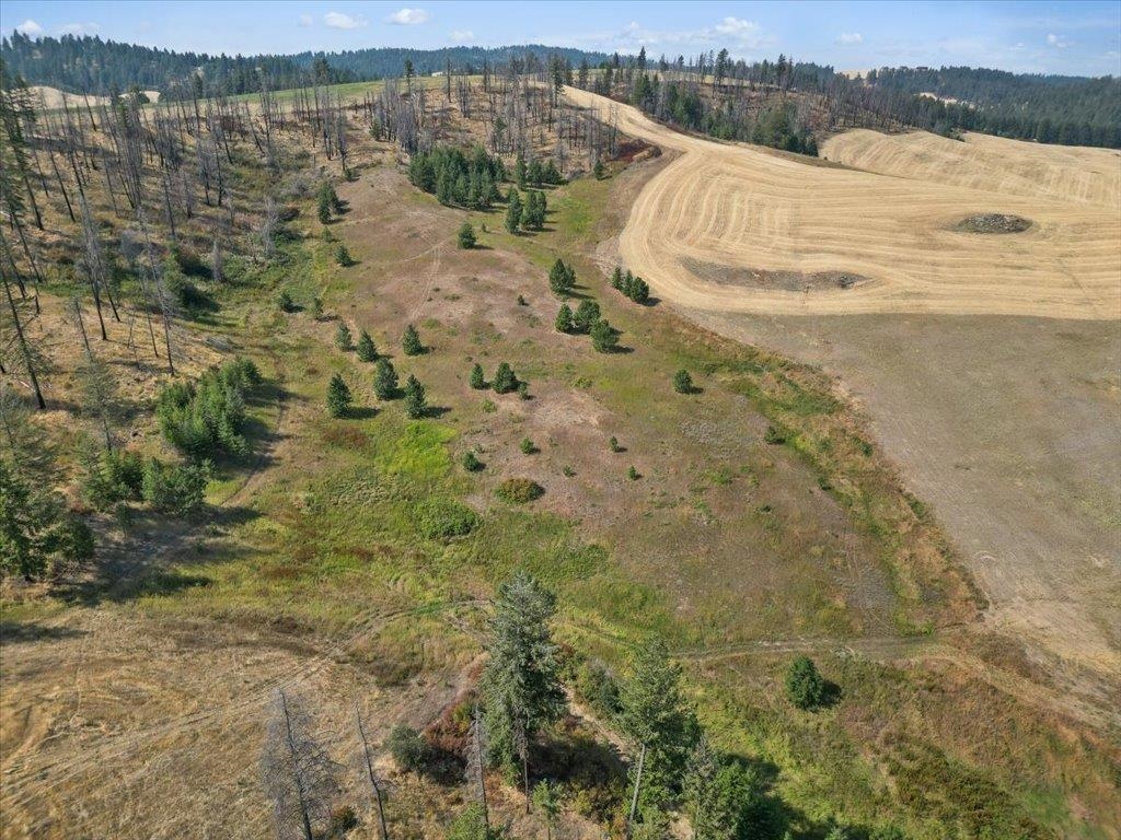 Nka West Ballard Road, Unit LOT 3A Spokane, WA 99208 - Photo 14 of 16