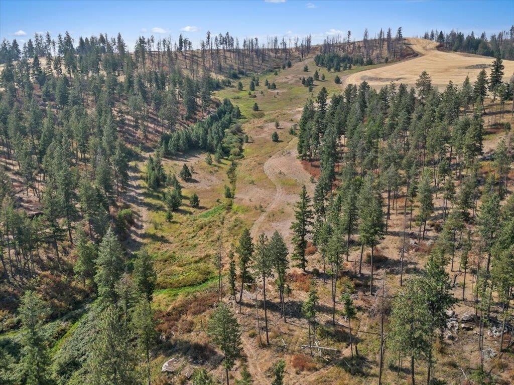 Nka West Ballard Road, Unit LOT 3A Spokane, WA 99208 - Photo 10 of 16