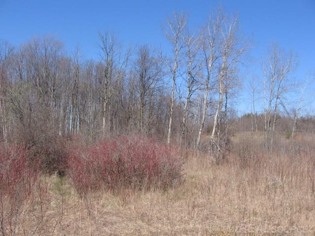 Vl Townsend Applegate, MI 48401 - Photo 19 of 31