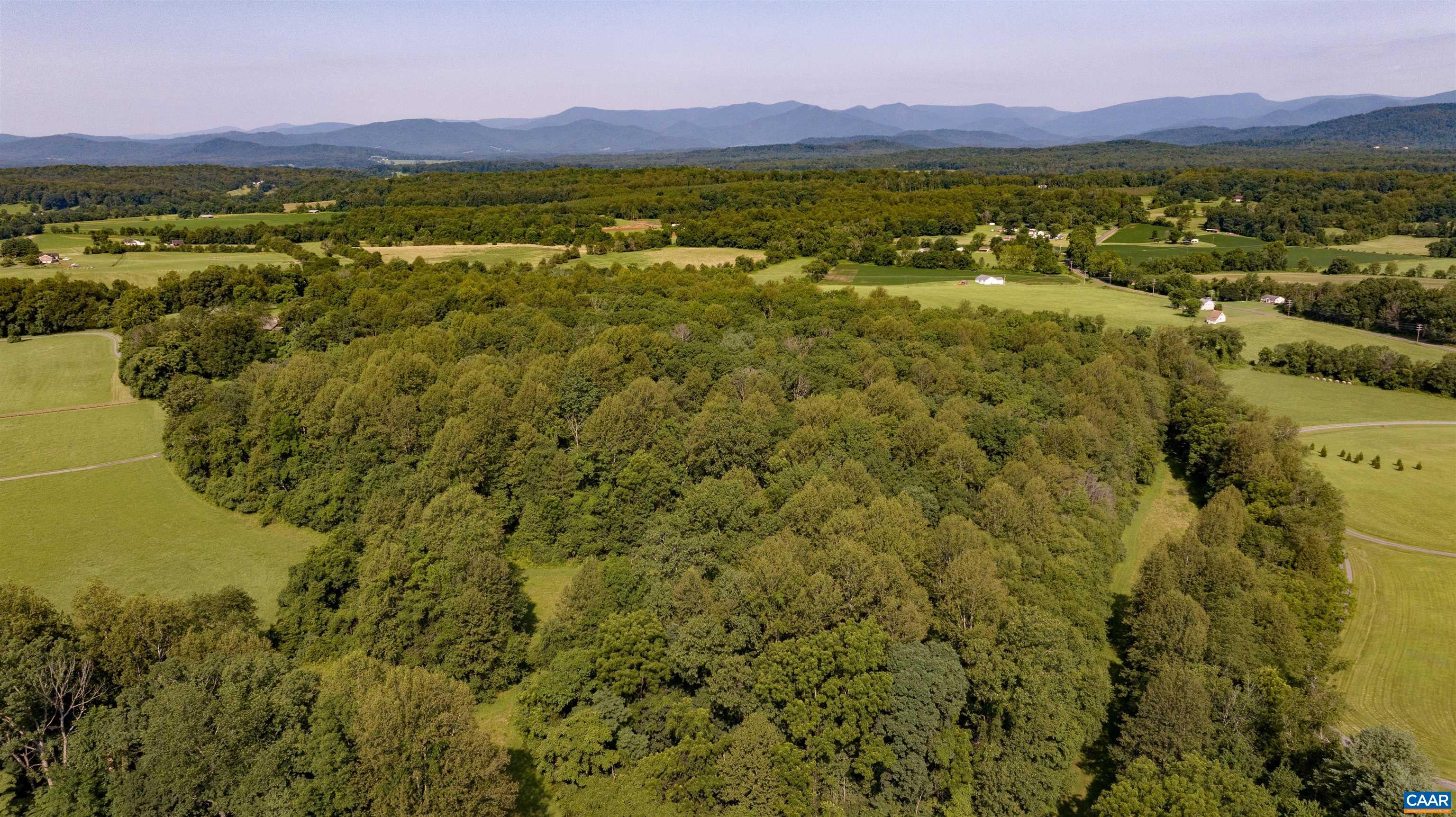 Lot E Hoover Road West Reva, VA 22735 - Photo 3 of 9 7.258 ac hardwood