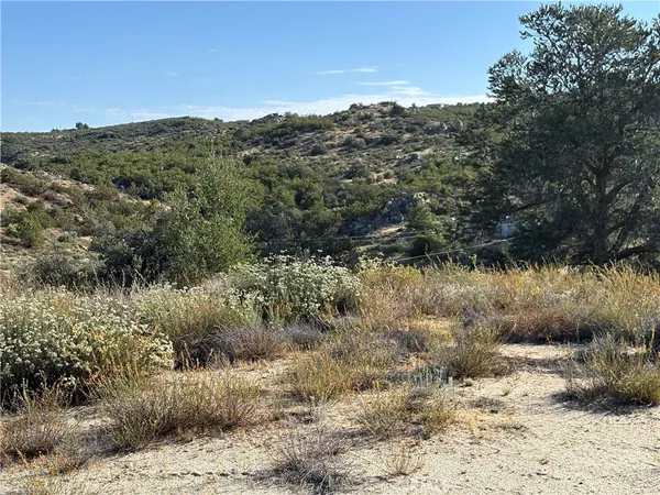 $75,000 | 0 Dry Wash Road, Anza, CA 92539