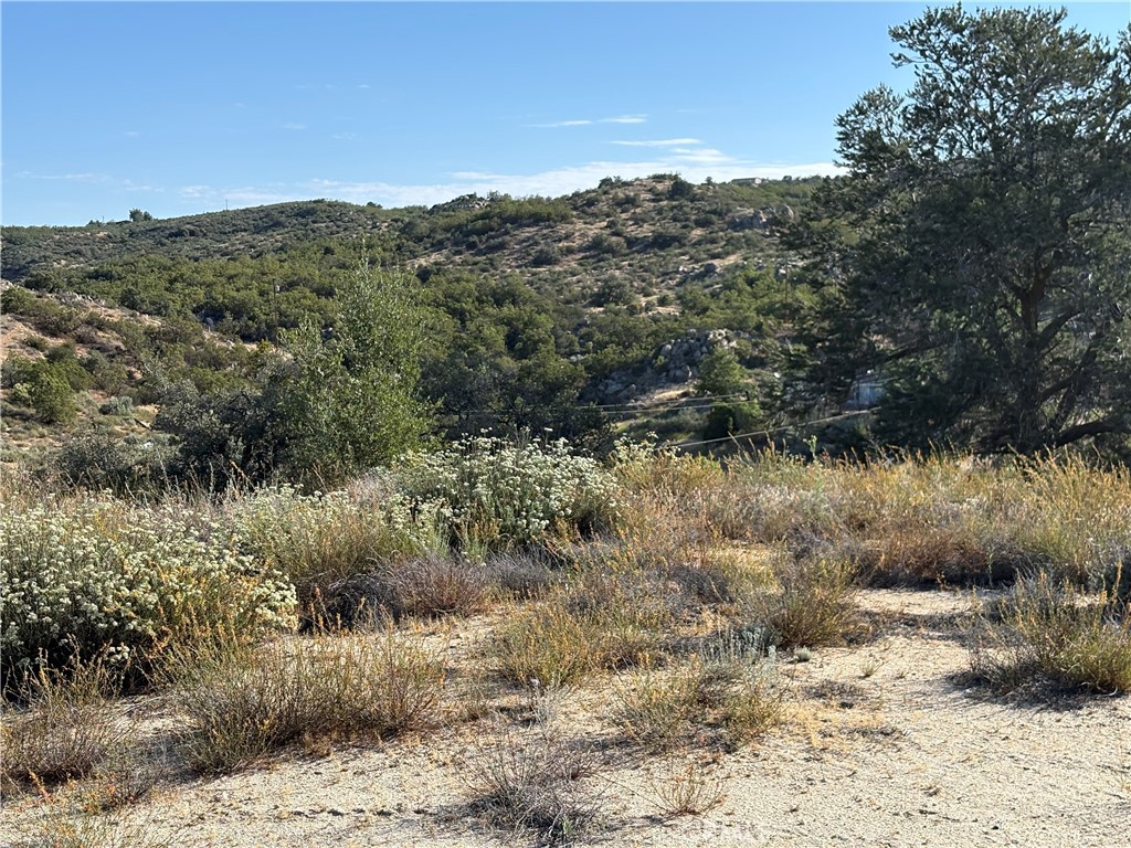 0 Dry Wash Road Anza, CA 92539 - Photo 1 of 1