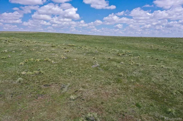 a view of a big yard