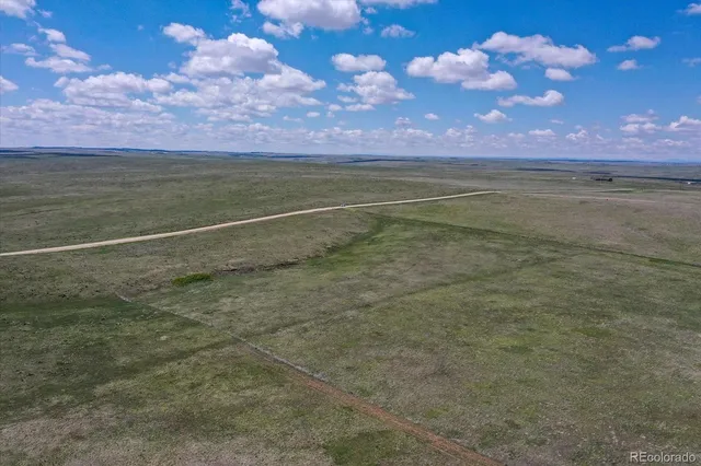 a view of a big yard