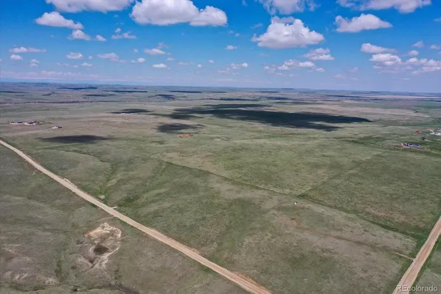 a view of a dry yard