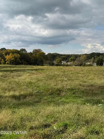 a view of an ocean from a yard