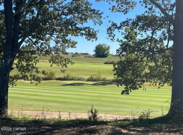 a view of a big yard with swimming pool