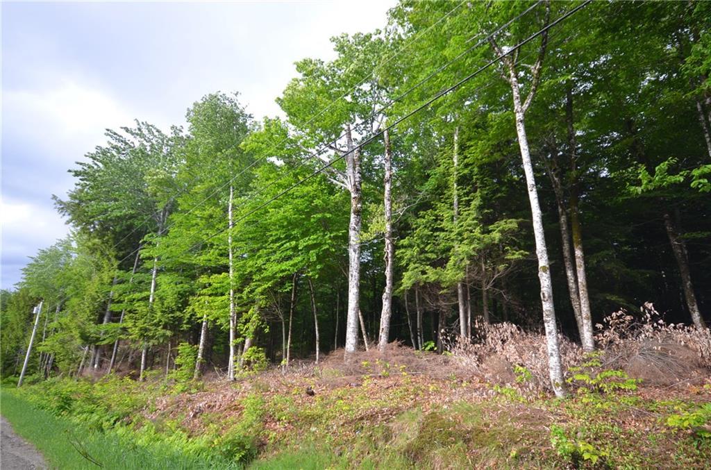 639 Transalpine Road Lincoln, ME 04457 - Photo 6 of 9 Land/lot