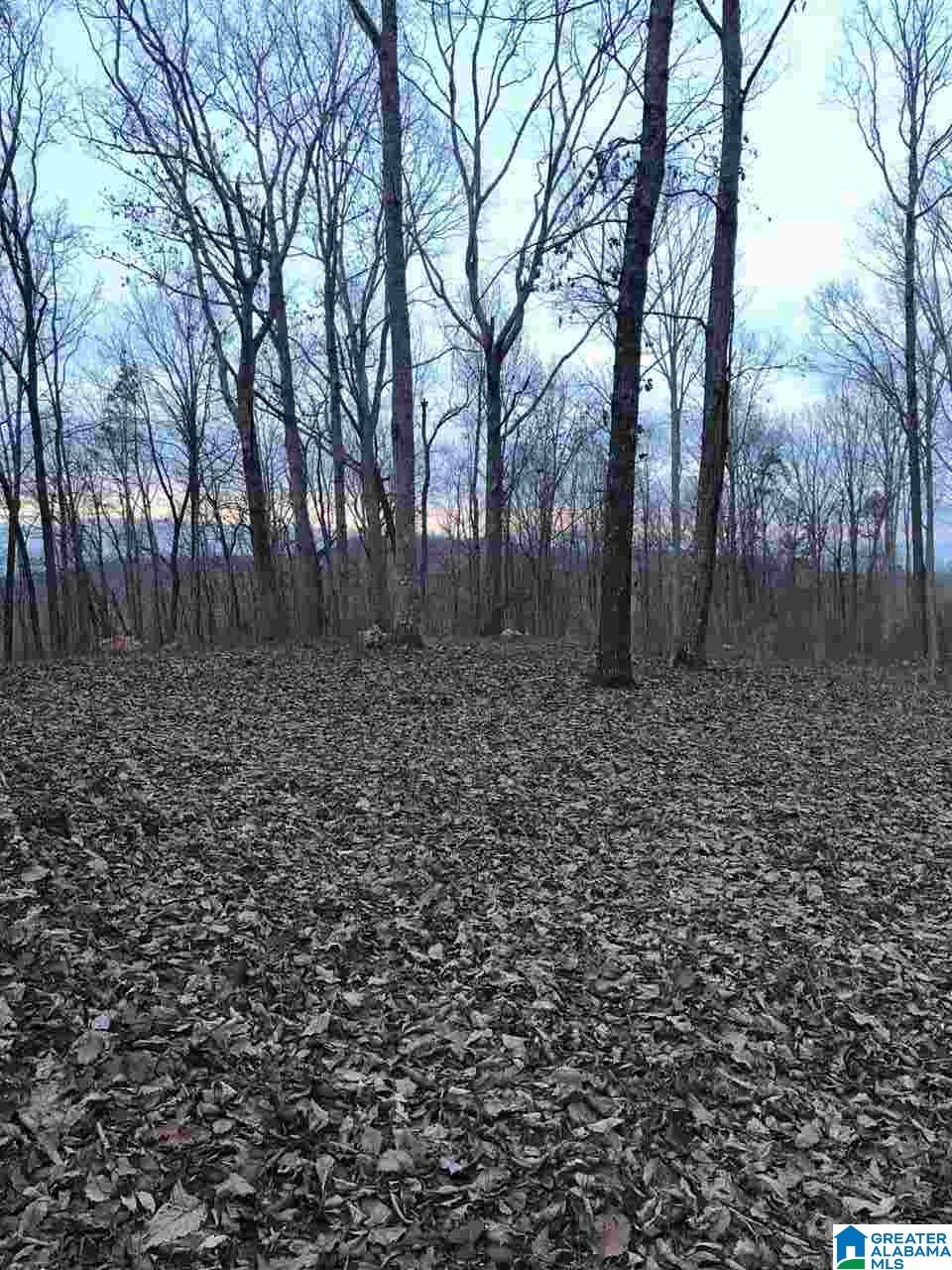 Larkhaven Lane Springville, AL 35146 - Photo 3 of 7