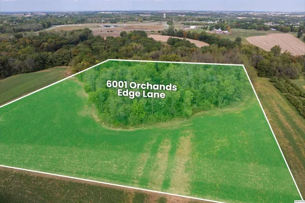 a view of a lush green hillside and houses