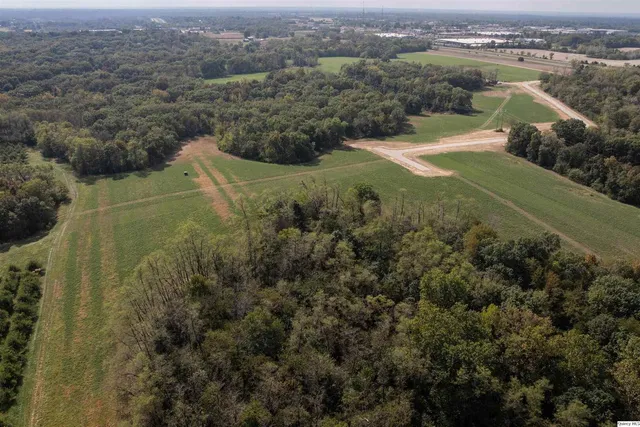 an aerial view of residential houses with outdoor space and trees