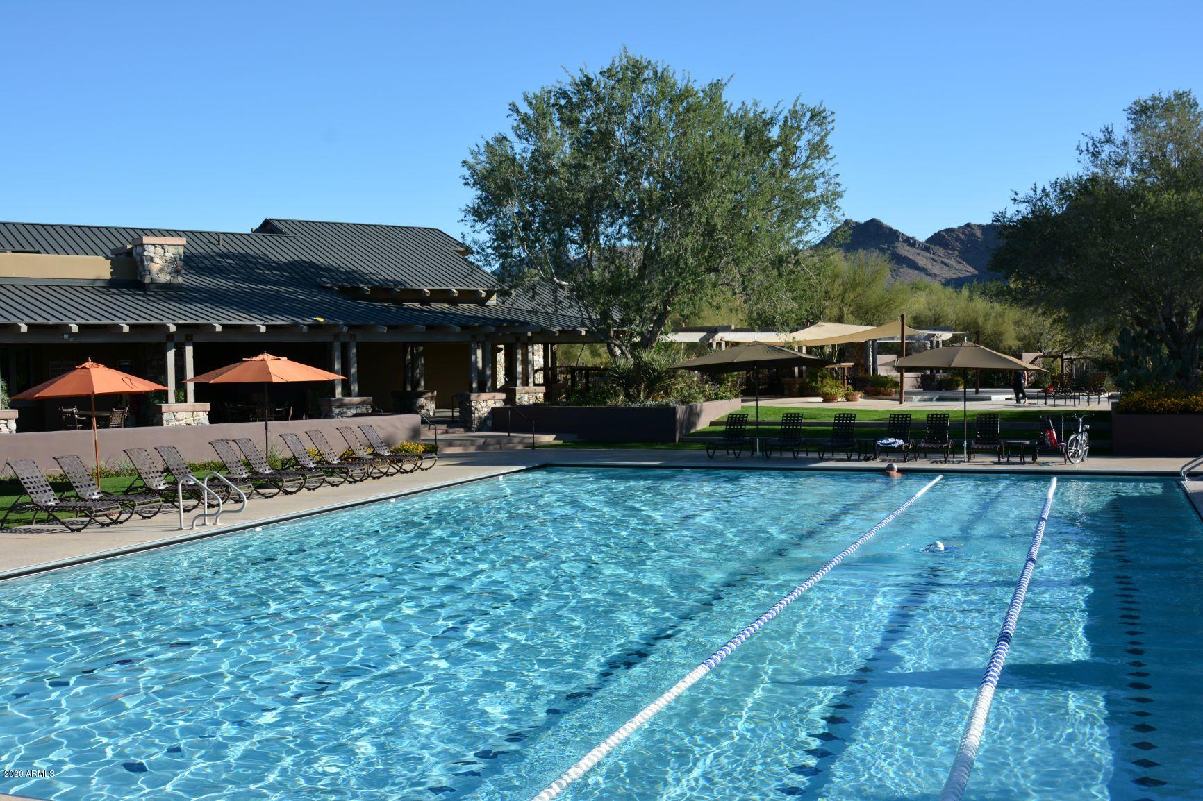 9239 East Mountain Spring Road Scottsdale, AZ 85255 - Photo 68 of 70 Desert Camp Lap Pool