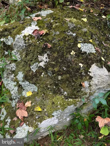 $499,000 | Blueridge Mountain, Upperville, VA 20184