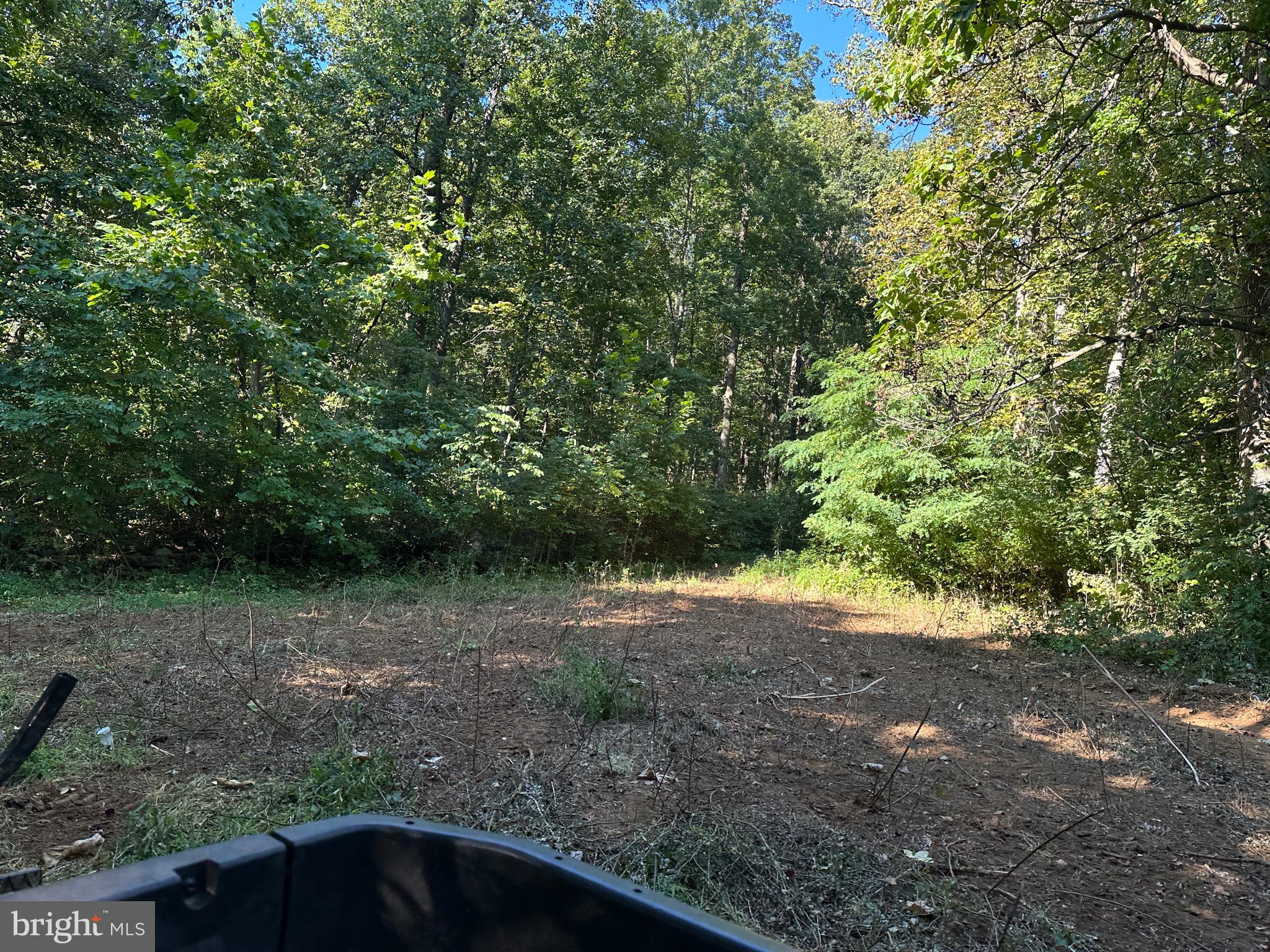 Blueridge Mountain Upperville, VA 20184 - Photo 12 of 32