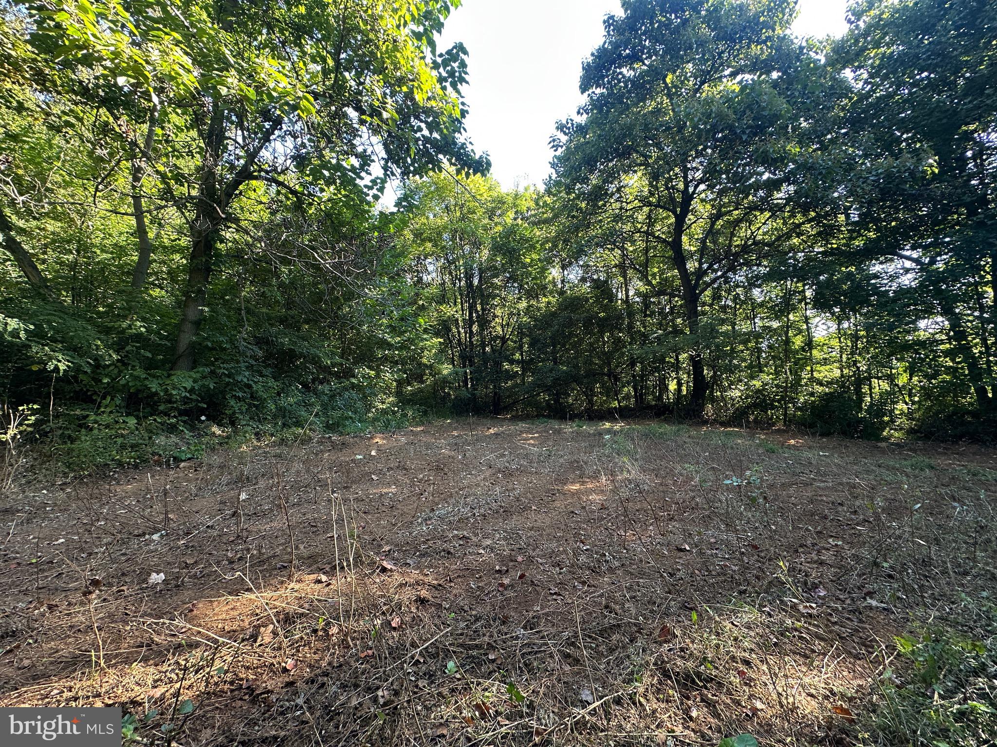 Blueridge Mountain Upperville, VA 20184 - Photo 13 of 32