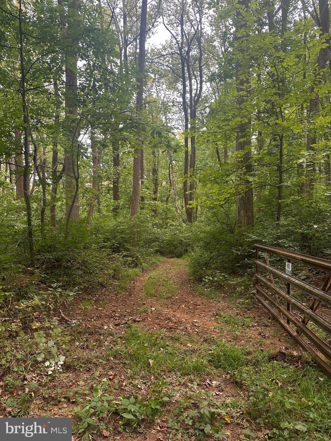 Blueridge Mountain Upperville, VA 20184 - Photo 14 of 32