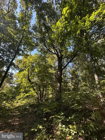 $499,000 | Blueridge Mountain, Upperville, VA 20184