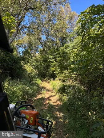 $499,000 | Blueridge Mountain, Upperville, VA 20184