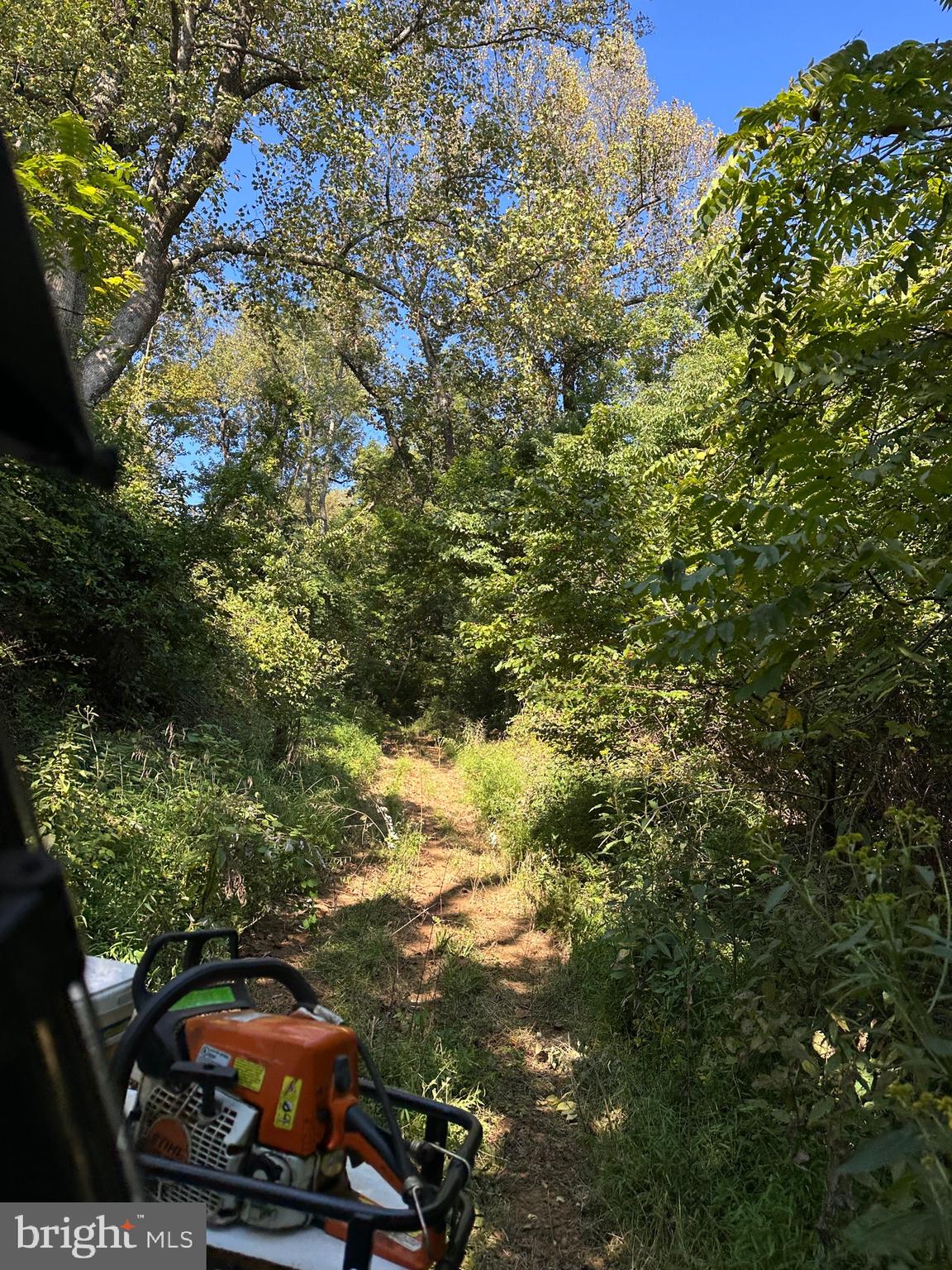 Blueridge Mountain Upperville, VA 20184 - Photo 16 of 32