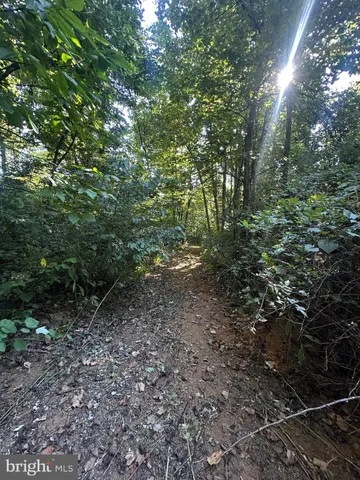 $499,000 | Blueridge Mountain, Upperville, VA 20184