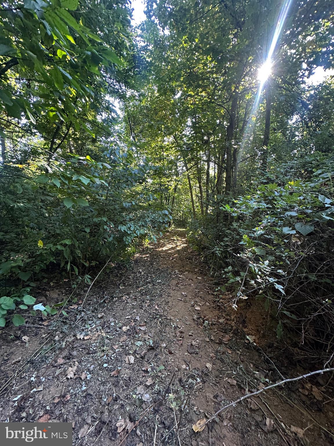 Blueridge Mountain Upperville, VA 20184 - Photo 17 of 32