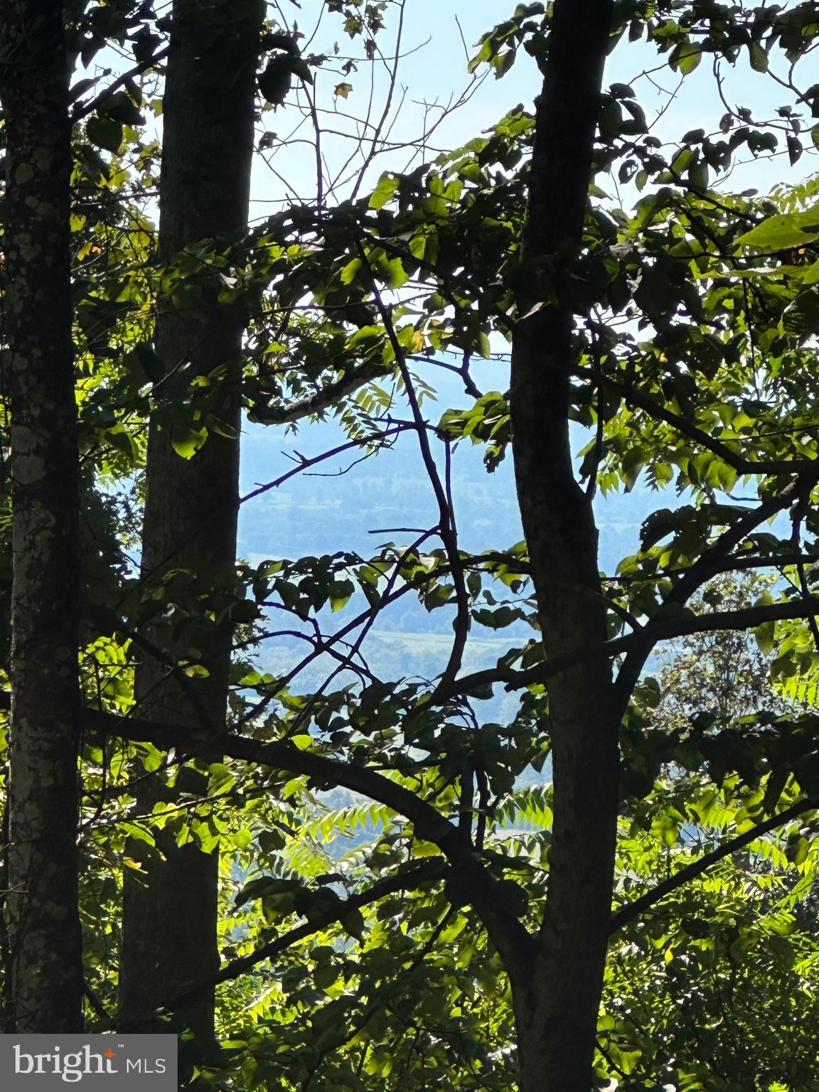 Blueridge Mountain Upperville, VA 20184 - Photo 18 of 32 Sneak peek at the valley view!!!