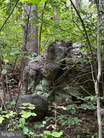 $499,000 | Blueridge Mountain, Upperville, VA 20184