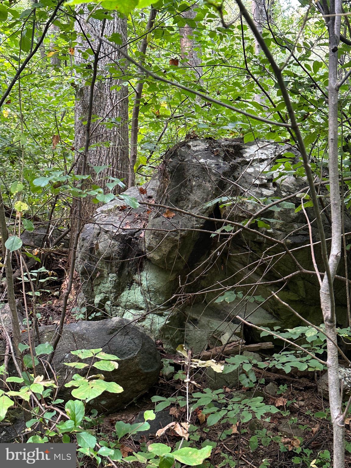 Blueridge Mountain Upperville, VA 20184 - Photo 20 of 32