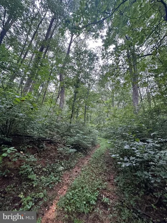 $499,000 | Blueridge Mountain, Upperville, VA 20184