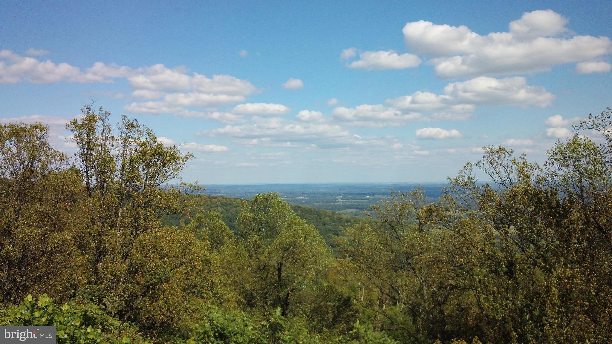 Blueridge Mountain Upperville, VA 20184 - Photo 22 of 32 Treetop drone photo