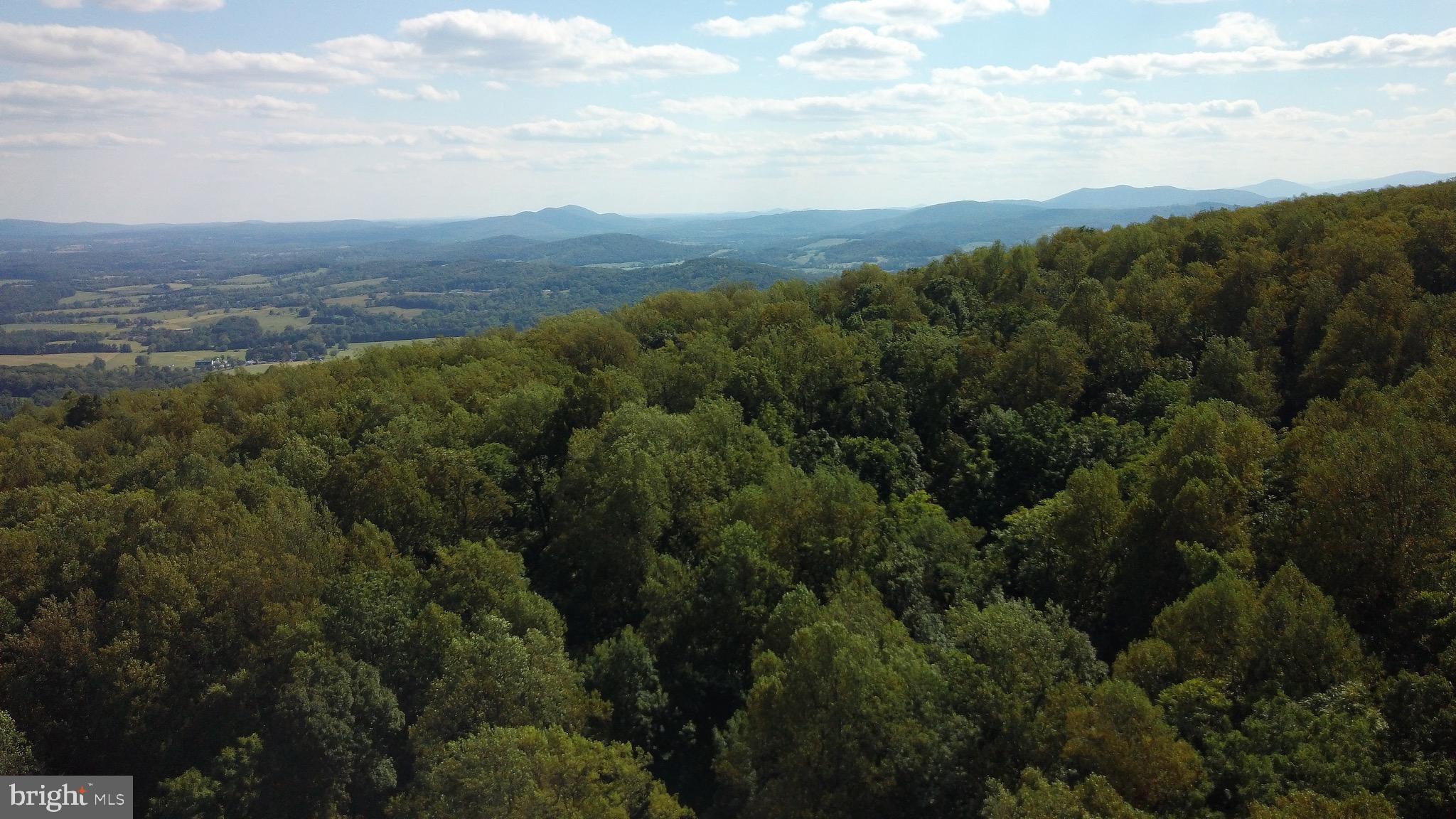 Blueridge Mountain Upperville, VA 20184 - Photo 25 of 32 Treetop drone photo