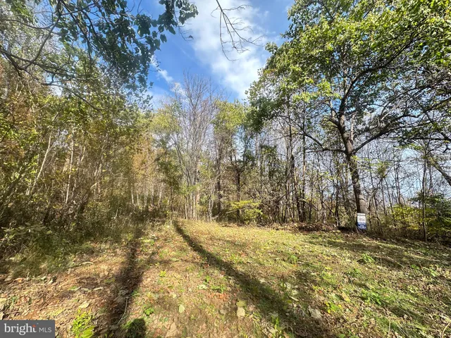 a backyard of a building