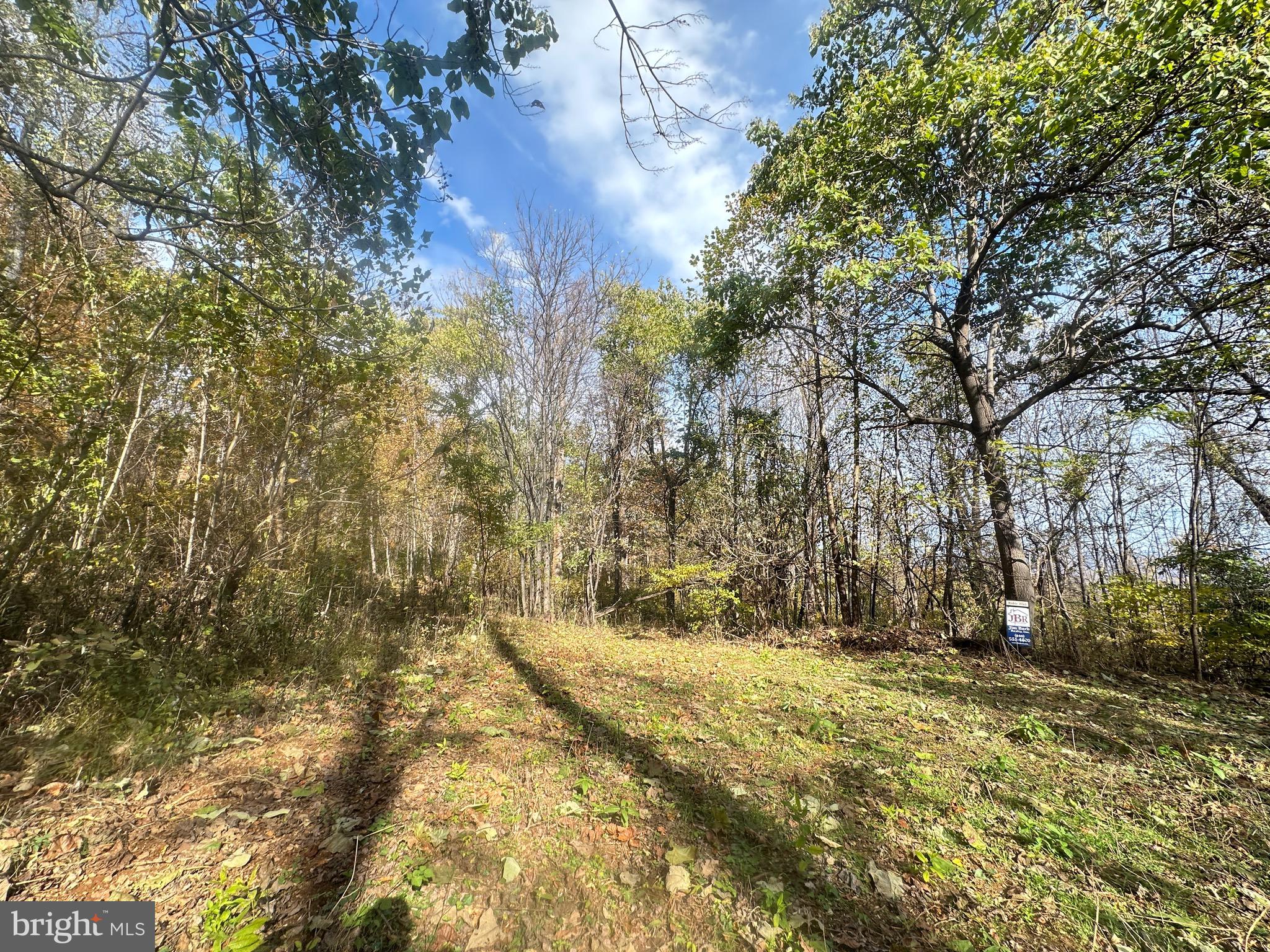 Blueridge Mountain Upperville, VA 20184 - Photo 28 of 32 Fall