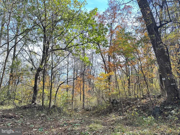 $499,000 | Blueridge Mountain, Upperville, VA 20184