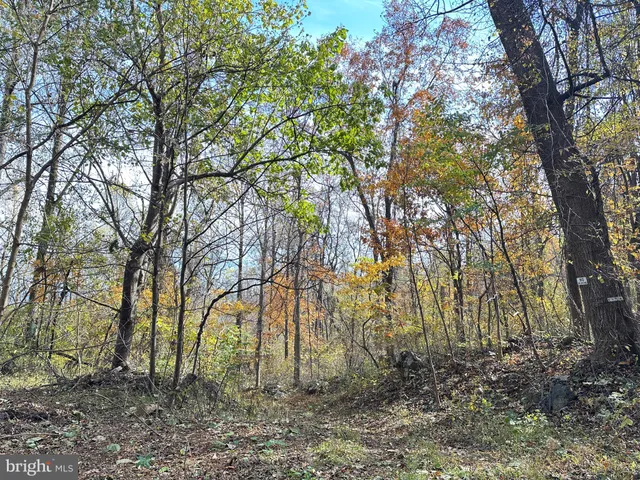 a view of outdoor space and a yard