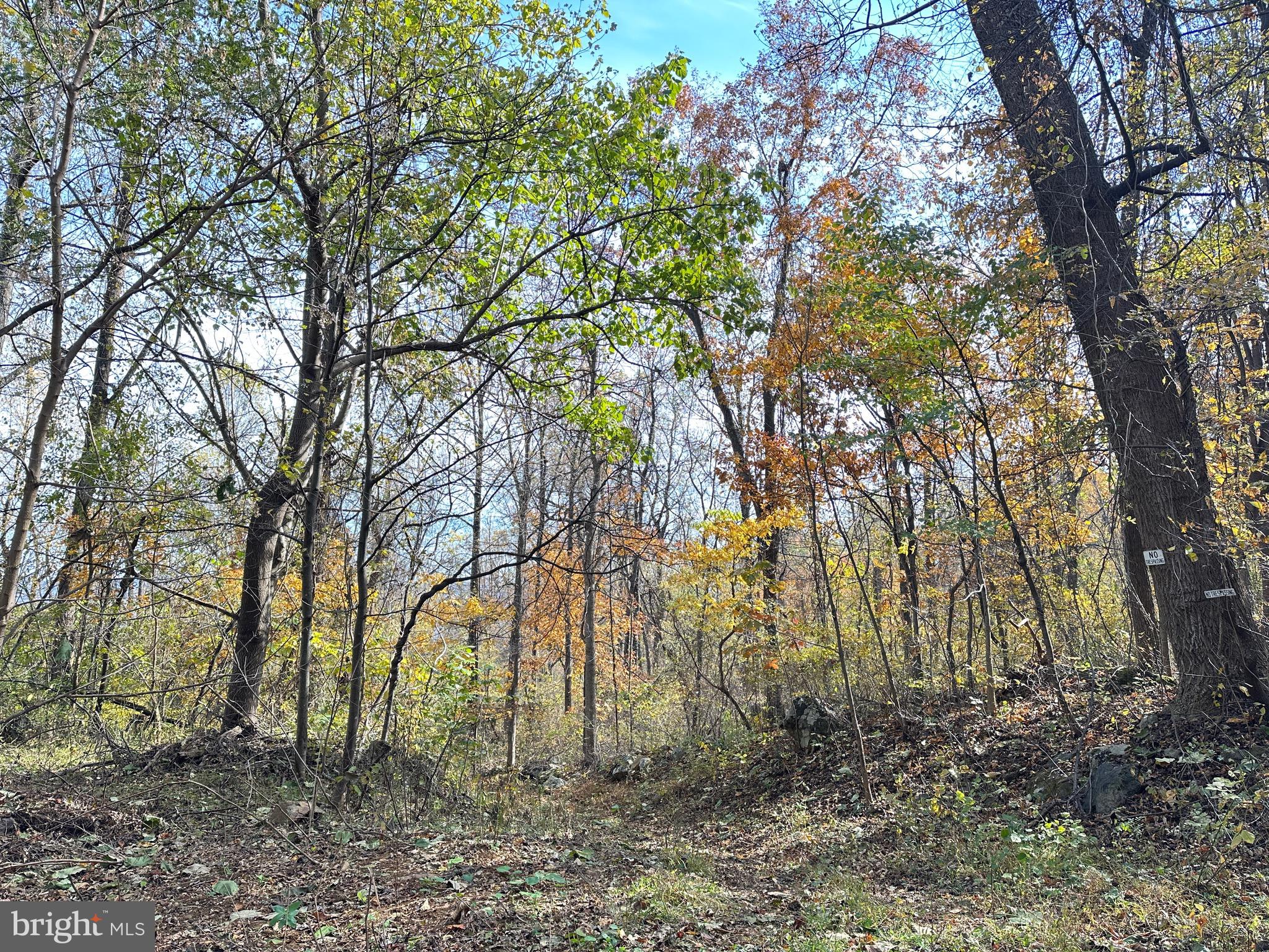 Blueridge Mountain Upperville, VA 20184 - Photo 29 of 32 Fall