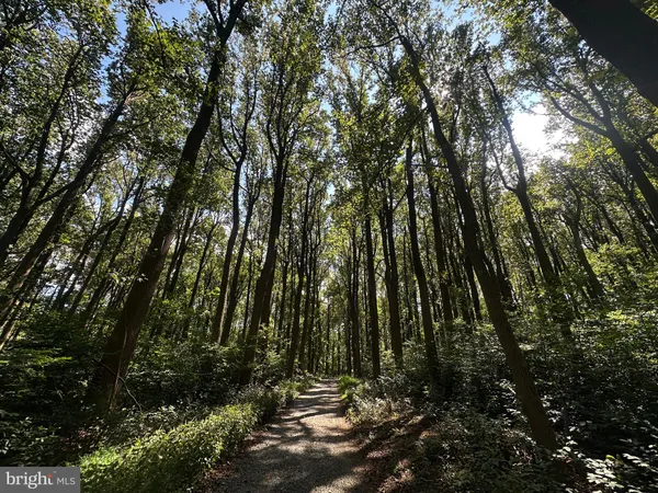 $499,000 | Blueridge Mountain, Upperville, VA 20184