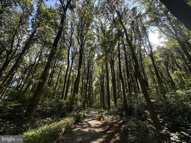 $499,000 | Blueridge Mountain, Upperville, VA 20184