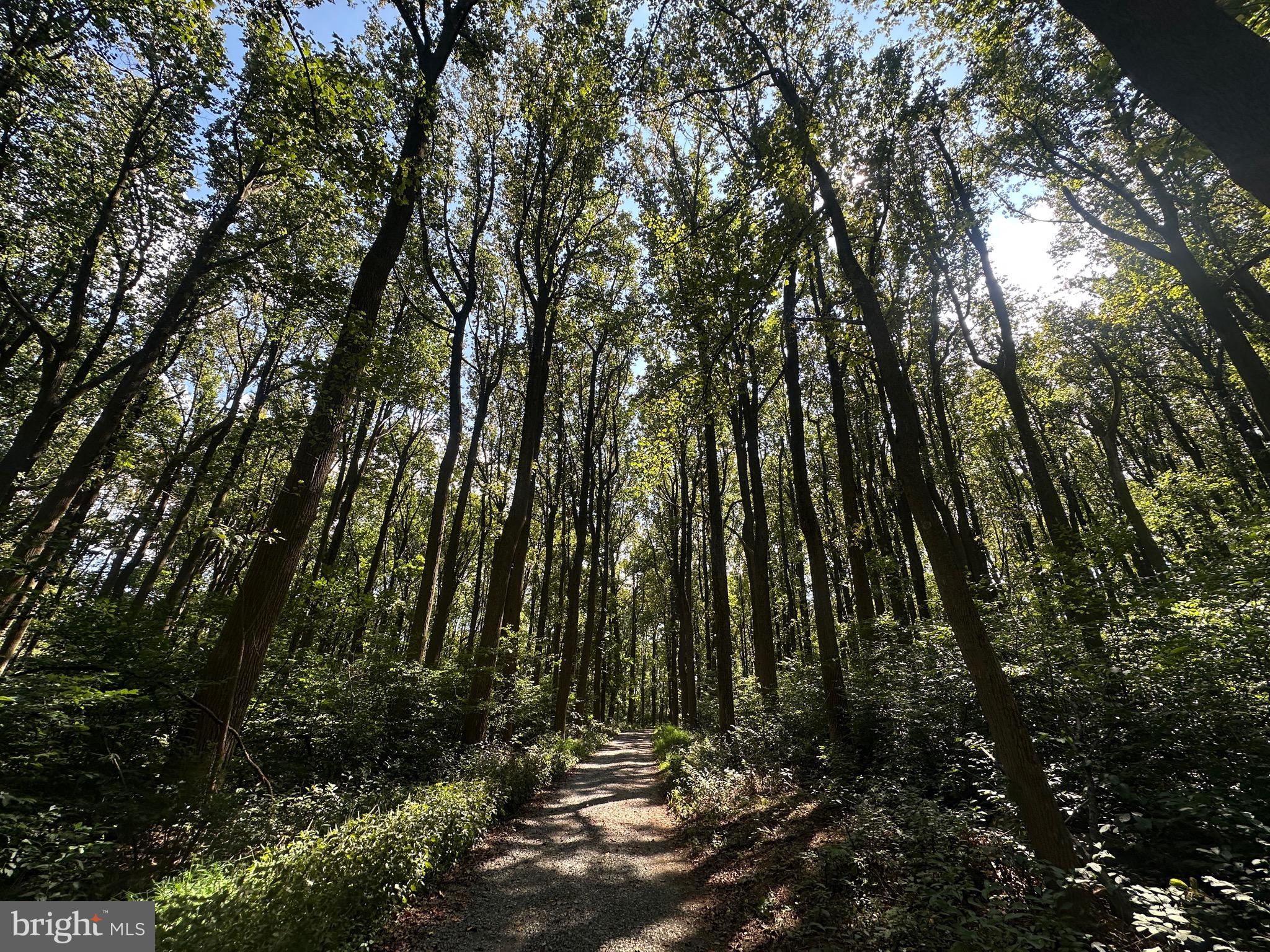 Blueridge Mountain Upperville, VA 20184 - Photo 3 of 32 Beautiful gravel entry
