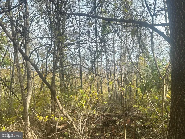 $499,000 | Blueridge Mountain, Upperville, VA 20184