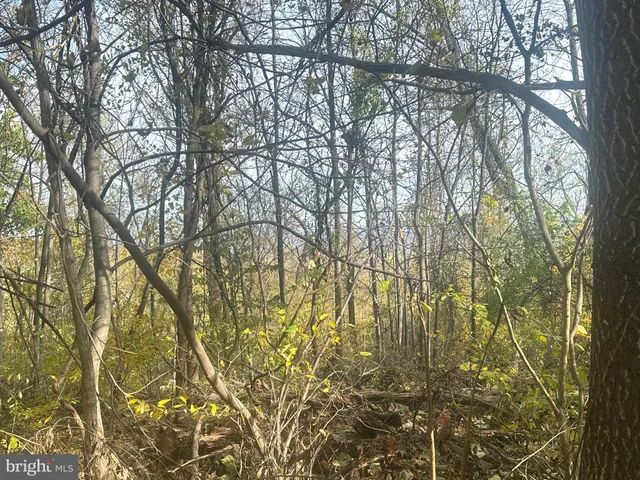 $499,000 | Blueridge Mountain, Upperville, VA 20184