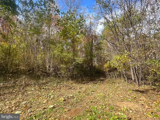 $499,000 | Blueridge Mountain, Upperville, VA 20184