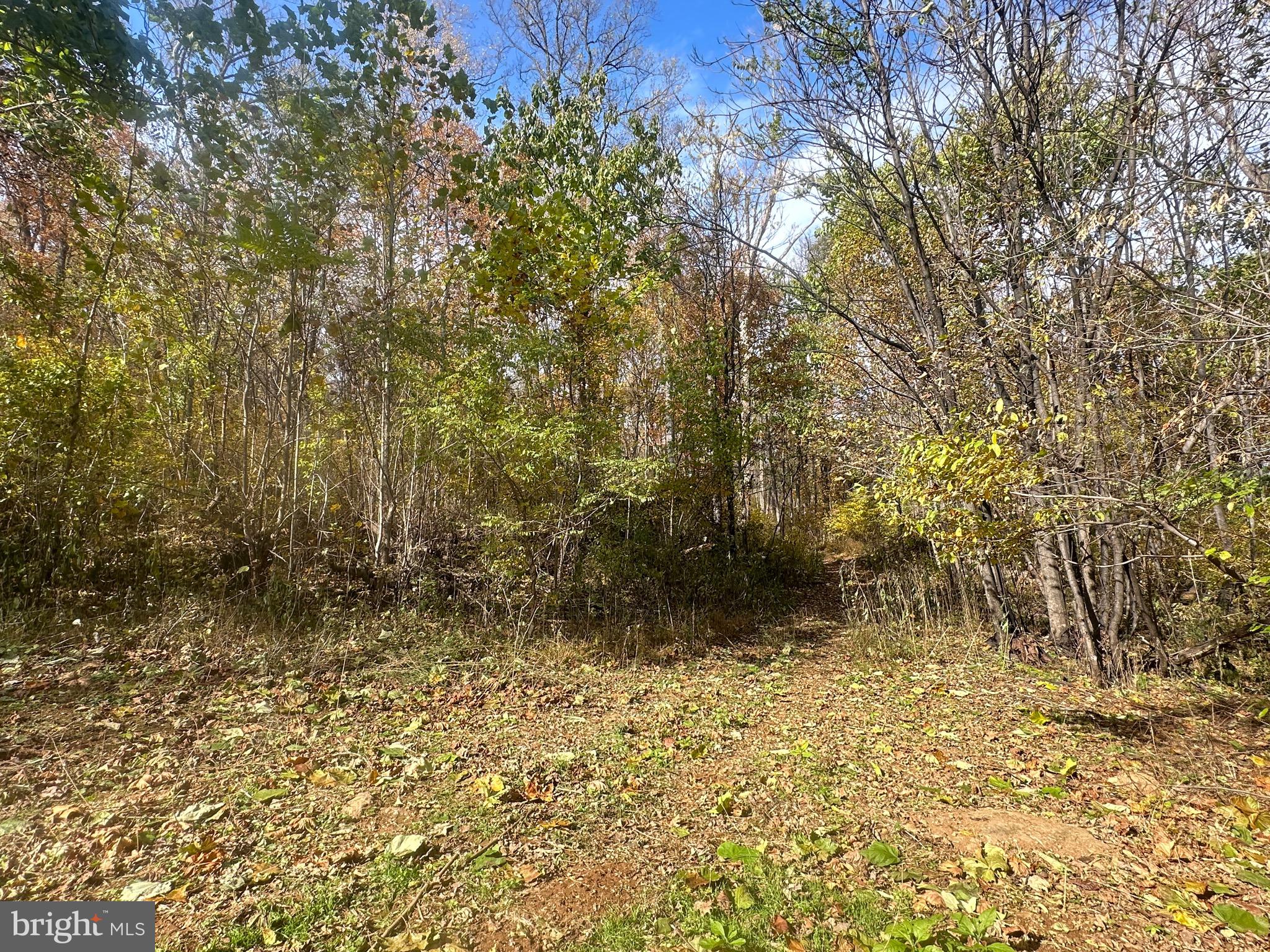 Blueridge Mountain Upperville, VA 20184 - Photo 32 of 32