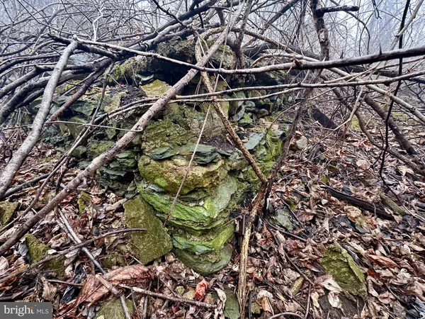 $499,000 | Blueridge Mountain, Upperville, VA 20184