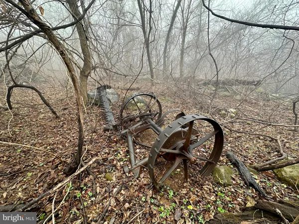 $499,000 | Blueridge Mountain, Upperville, VA 20184