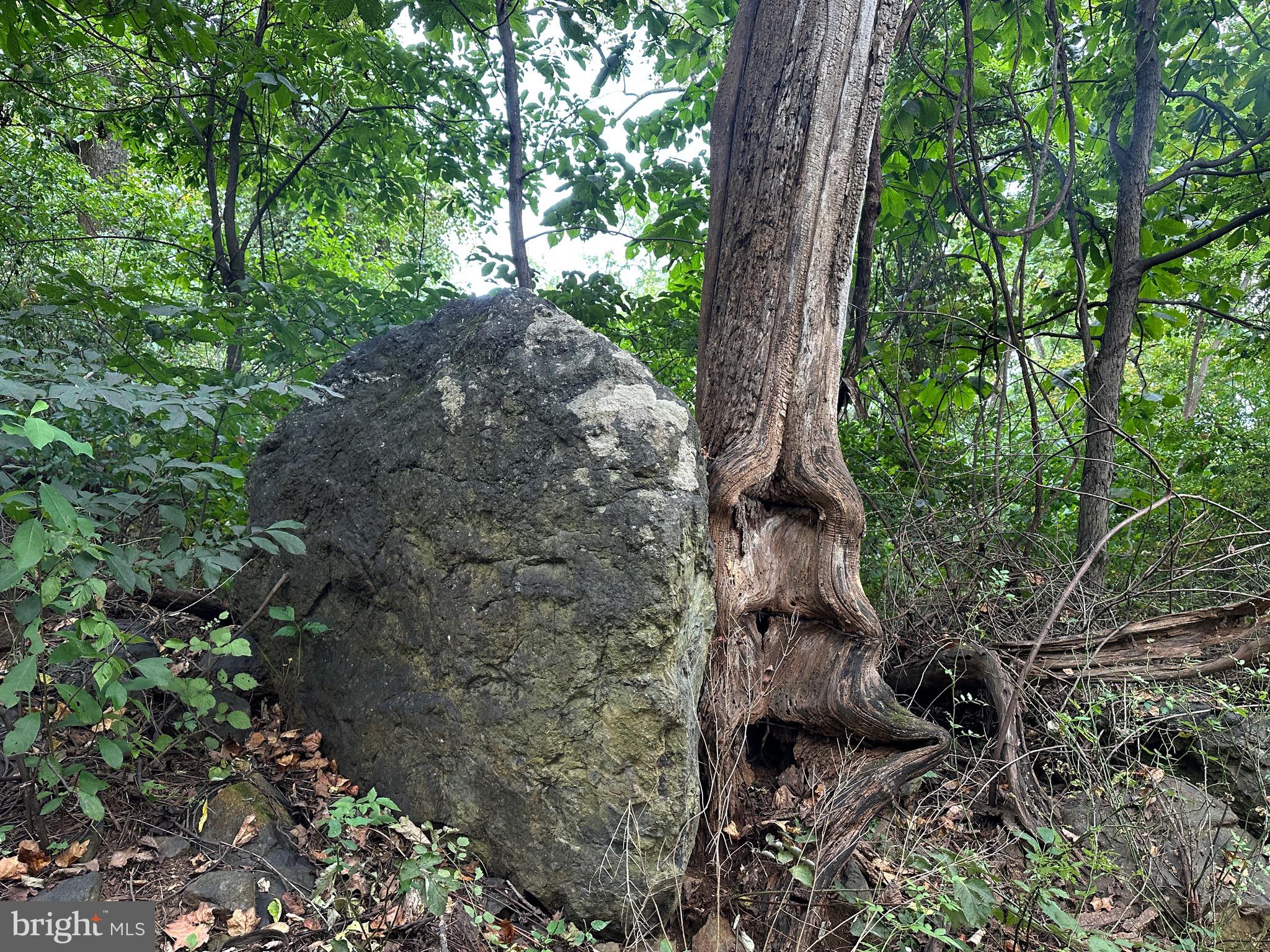 Blueridge Mountain Upperville, VA 20184 - Photo 5 of 32