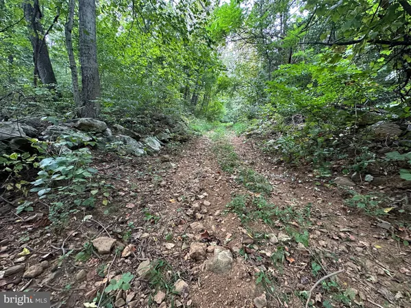 $499,000 | Blueridge Mountain, Upperville, VA 20184